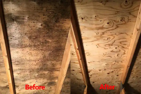 water damage restoration service Moss Bluff